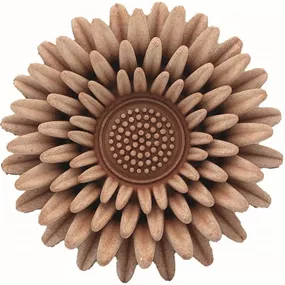 Blume Margherita