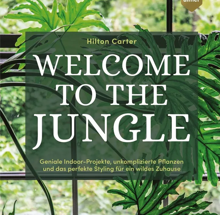 Welcome to the jungle