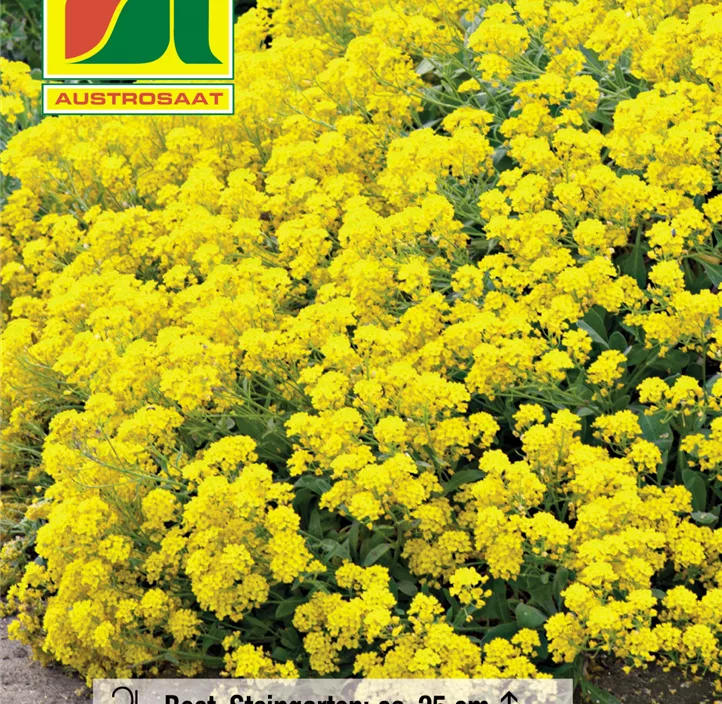 Sämereien Sämereien