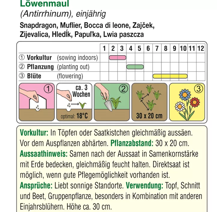 Antirrhinum Zwerg Mischung  Antirrhinum Zwerg Mischung