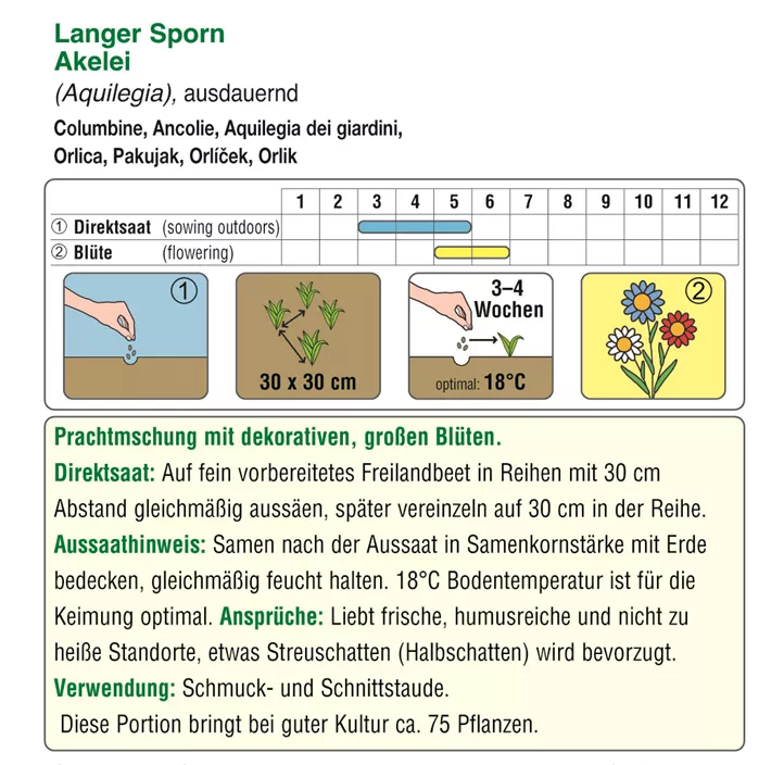 Aquilegia Prachtmischung Aquilegia Prachtmischung