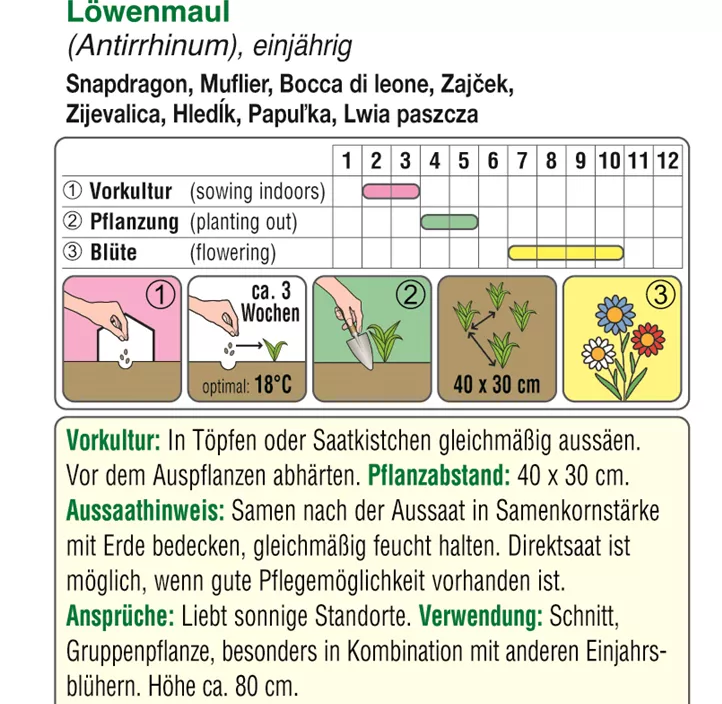 Antirrhinum Löwenmaul Hohe Mischung  Antirrhinum Löwenmaul Hohe Mischung
