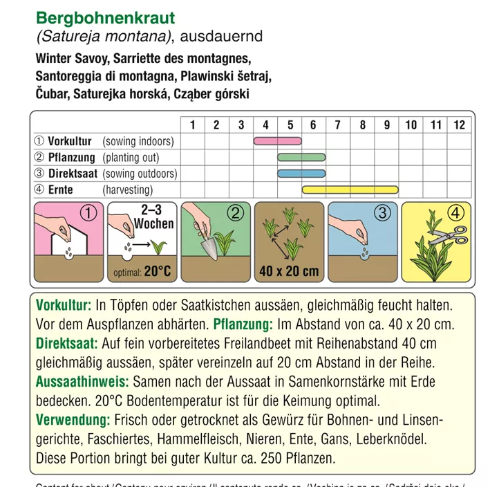 Bergbohnenkraut Bergbohnenkraut