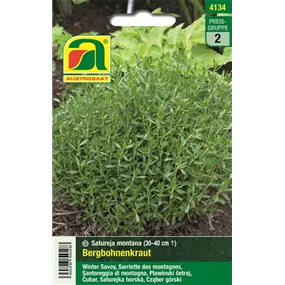 Bergbohnenkraut Bergbohnenkraut