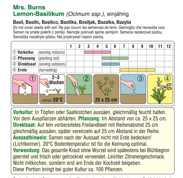 Basilikum Lemon Basilikum Lemon