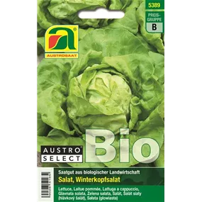 BIO Kopfsalat Neusiedler Gelber Winter