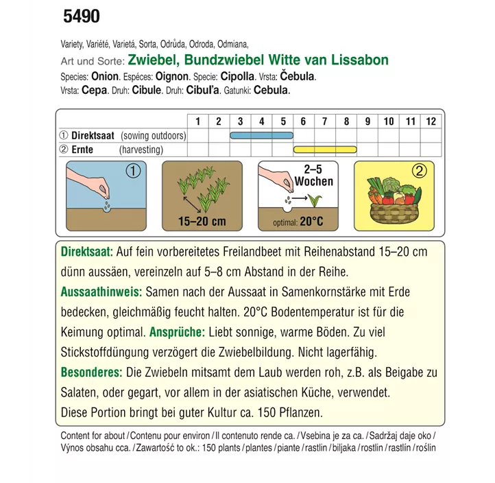 BIO Bundzwiebel Witte van Lissabon