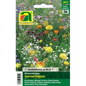 Blumenmischung Sommer- Express Blumenmischung Sommer- Express