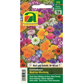 Blumenrasen Sommerblumen Blumenrasen Sommerblumen