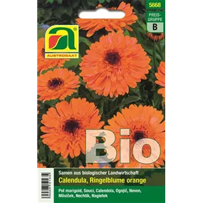 BIO Calendula Ringelblume orange BIO Calendula Ringelblume orange
