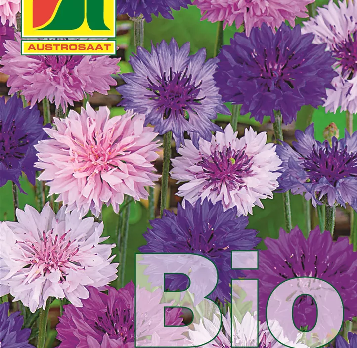 BIO Centaurea cyanus Ball Mix