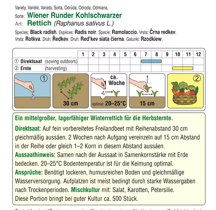 BIO Rettich Wiener Runder Kohlschwarzer