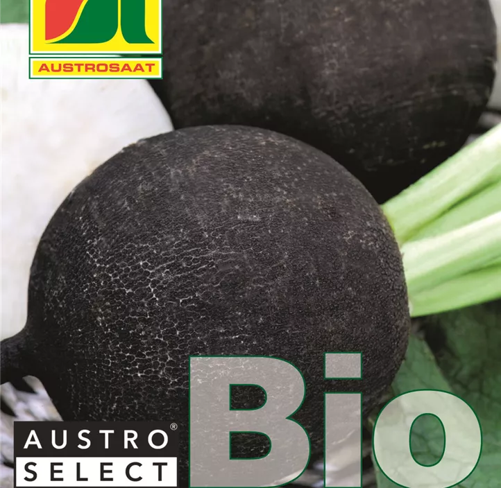 BIO Rettich Wiener Runder Kohlschwarzer
