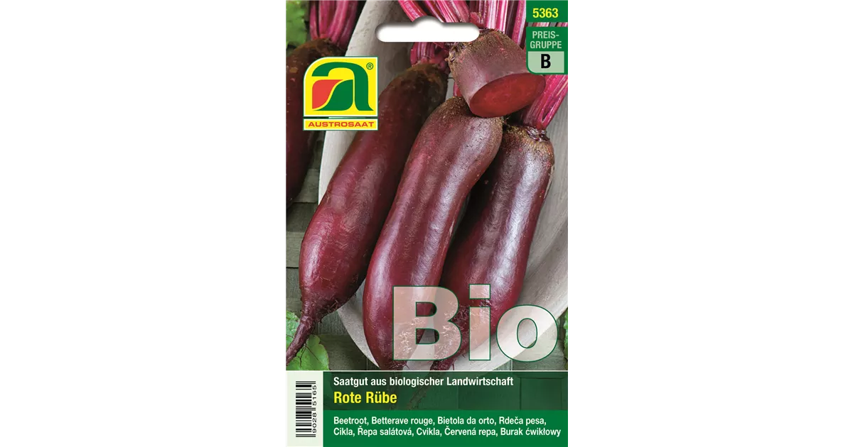 BIO Rote Rübe Cylindra - Bellaflora
