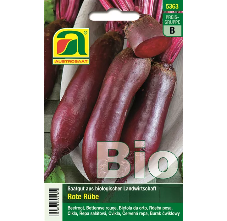 BIO Rote Rübe Cylindra