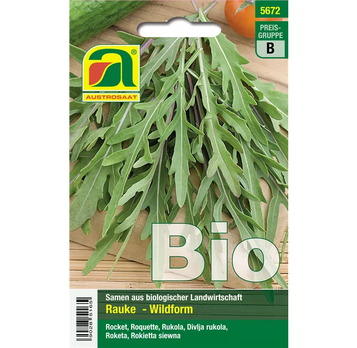 BIO Rucola selvatica