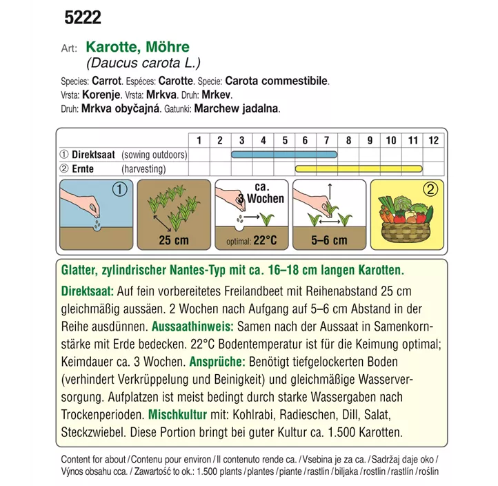 BIO Karotte