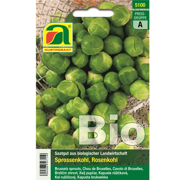 BIO Sprossenkohl Groninger