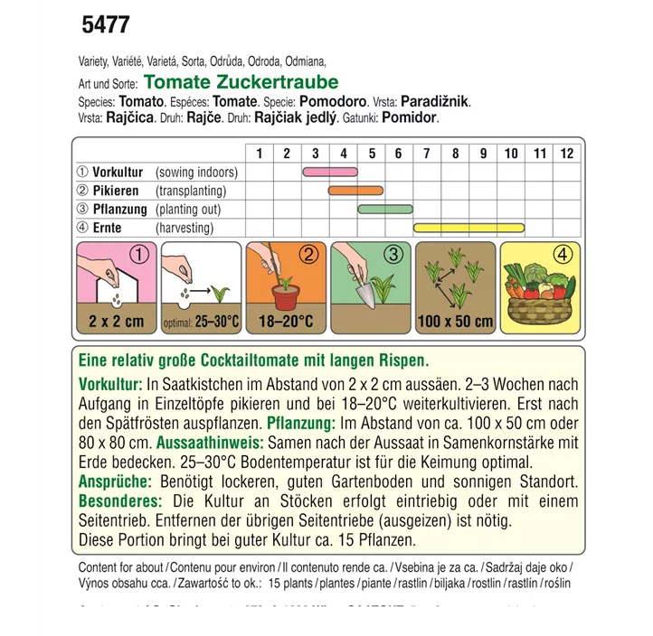 BIO Tomate Zuckertraube