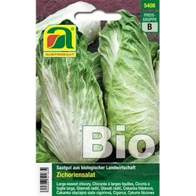 BIO Zichoriensalat, Blattzichorie