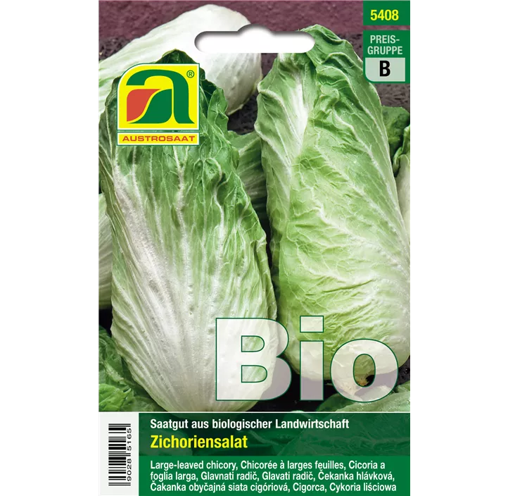BIO Zichoriensalat, Blattzichorie
