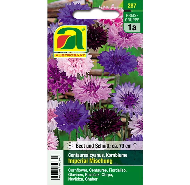 Centaurea Kornblume Mischung