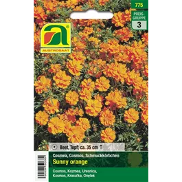 Cosmea Sunny orange