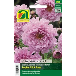 Cosmos Double Click Rose