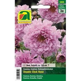 Cosmos Double Click Rose