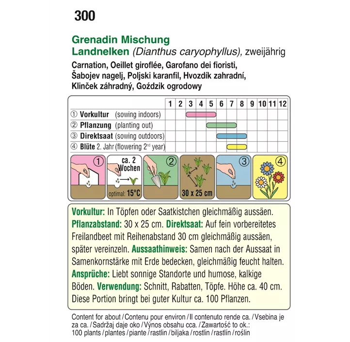 Dianthus caryophyllus Grenadin Mischung zweijährig