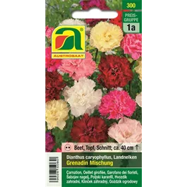 Dianthus caryophyllus Grenadin Mischung zweijährig