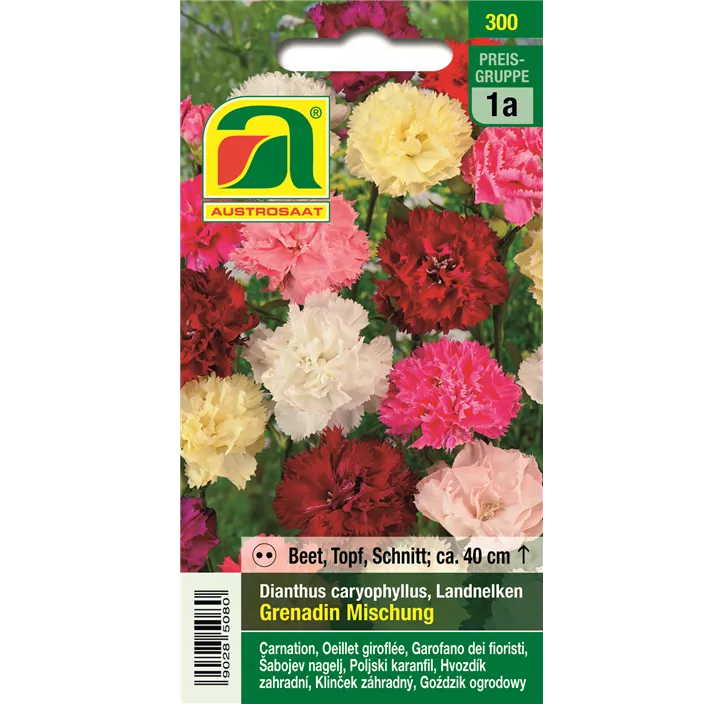 Dianthus caryophyllus Grenadin Mischung zweijährig