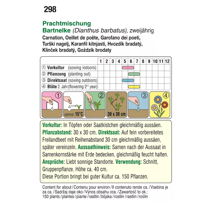 Dianthus Prachtmischung zweijährig