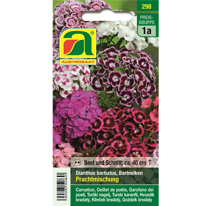 Dianthus Prachtmischung zweijährig