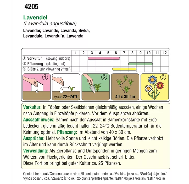 Echter Lavendel