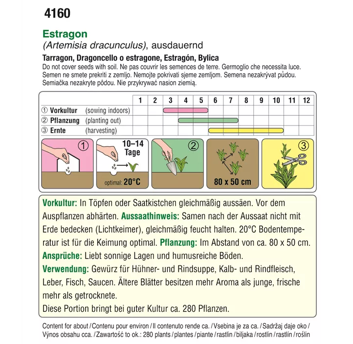 Estragon