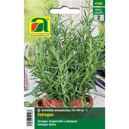 Estragon