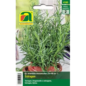 Estragon