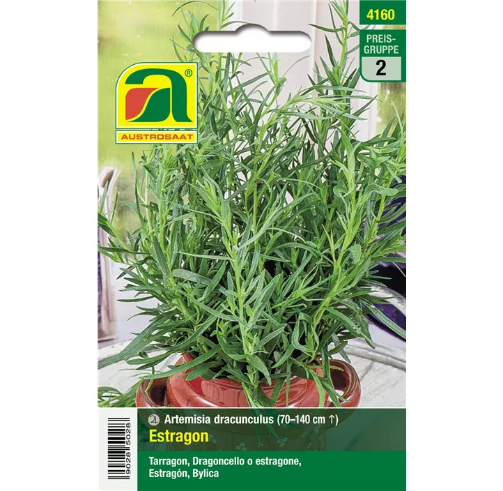 Estragon