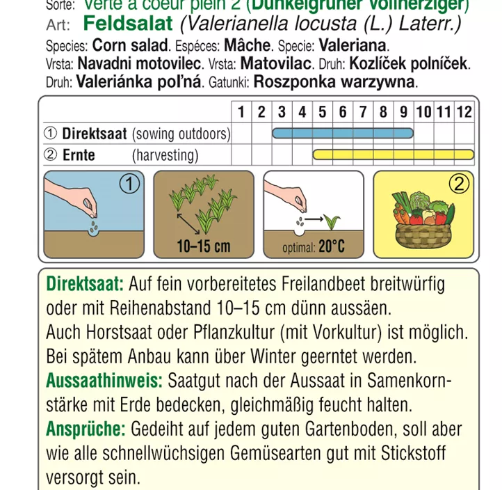 Feldsalat Dunkelgrün Vollherzig 2 Feldsalat Dunkelgrün Vollherzig 2