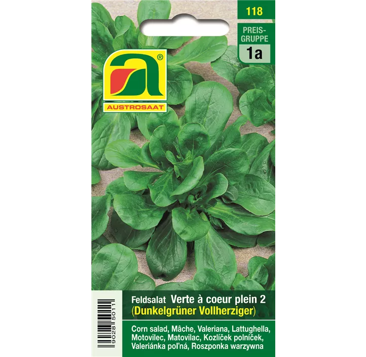 Feldsalat Dunkelgrün Vollherzig 2
