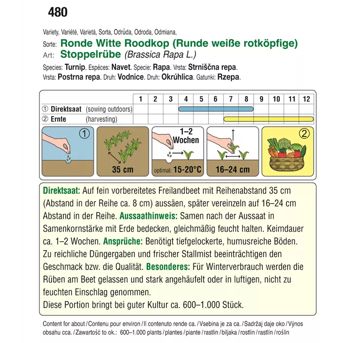 Herbstrübe Ronde Witte Roodkop