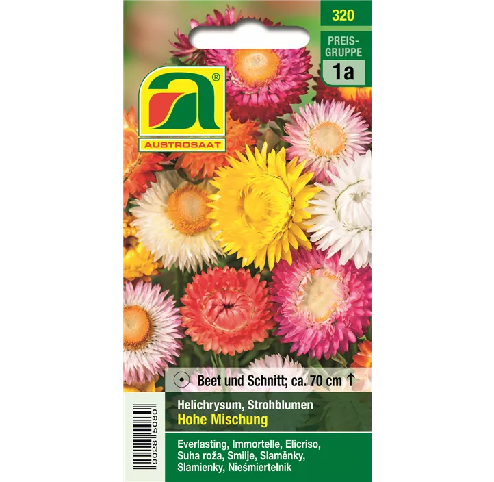 Helichrysum hohe Mischung einjährig
