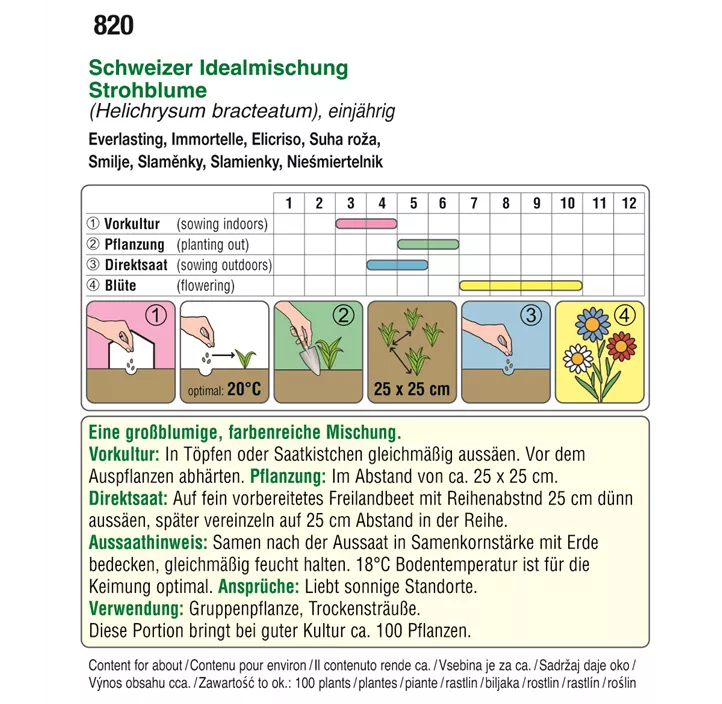 Helichrysum Schweizer Mischung einjährig