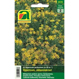 Hypericum perforatum Johanniskraut