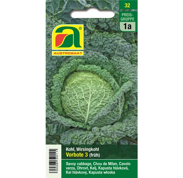 Kohl früh Vorbote 3