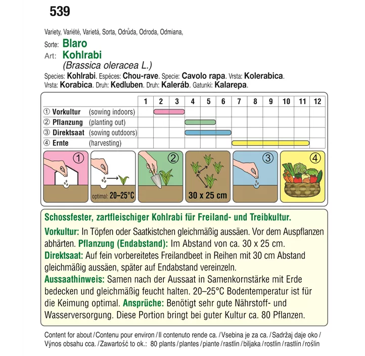 Kohlrabi blau Blaro