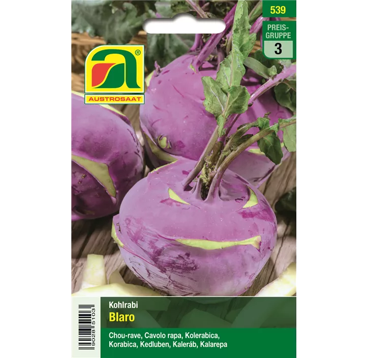Kohlrabi blau Blaro