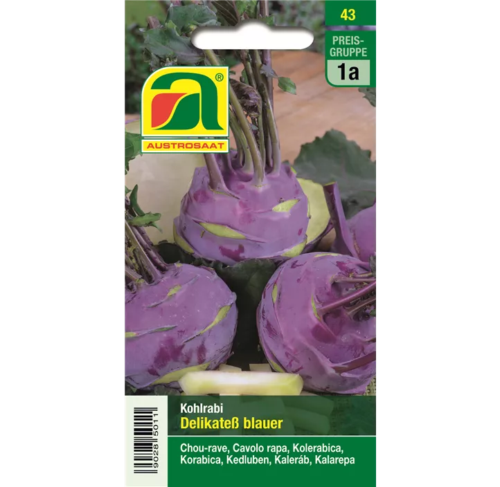 Kohlrabi Delikatess Blauer