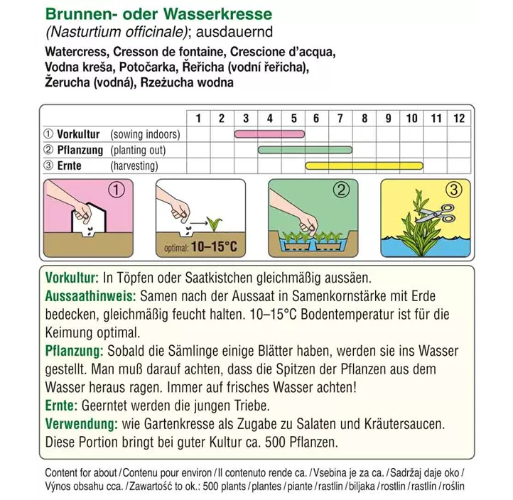 Kresse Brunnen oder Wasserkresse